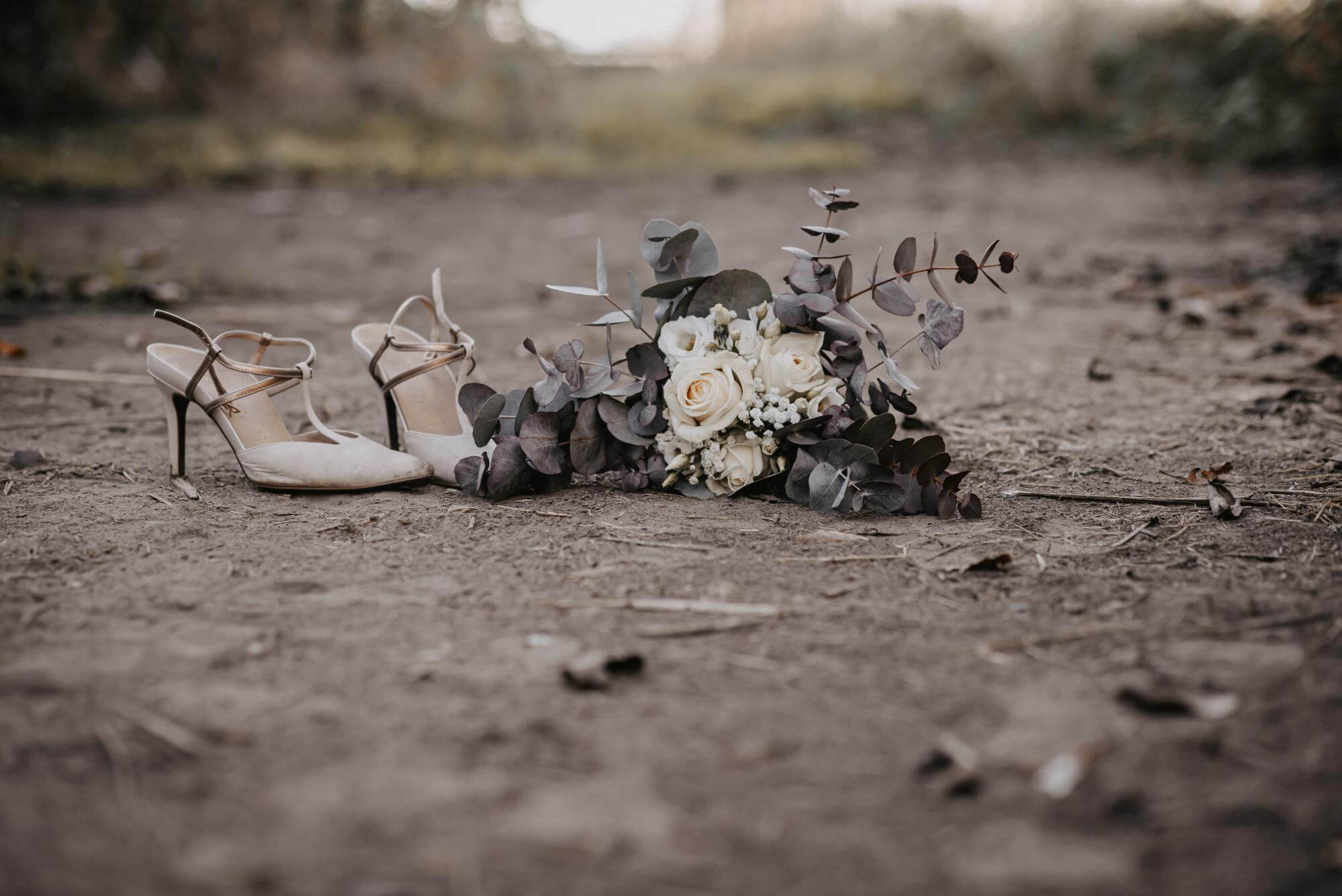 Hochzeit Gewaechshaus Koeln Reportage Lost Place Vintage After und Wedding Foto mit Details zu Hochzeit Gewaechshaus Koeln Reportage Lost Place Vintage After und Wedding der Kategorie Hochzeit