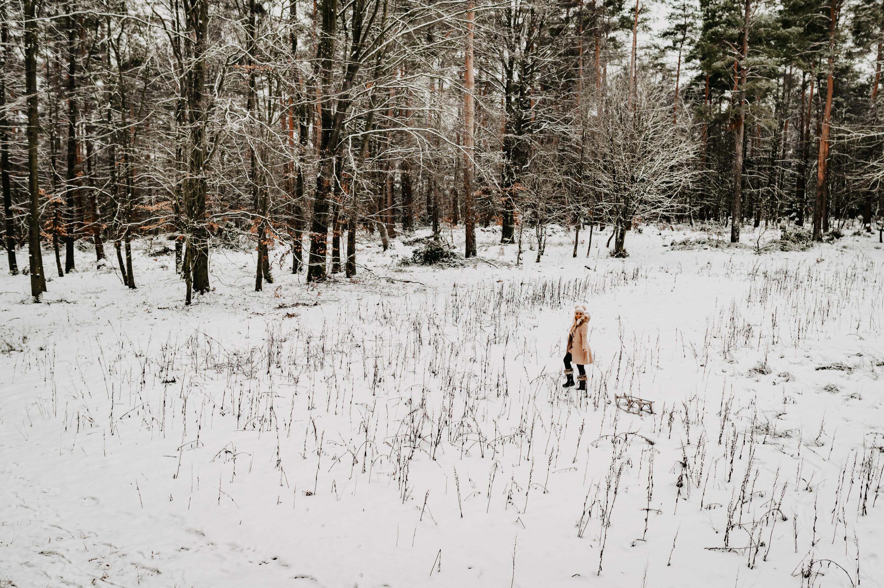 Portrait Schnee und Schlitten Foto mit Details zu Portrait Schnee und Schlitten der Kategorie Portrait